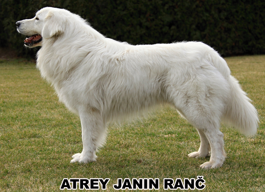 Atrey Janin ranč