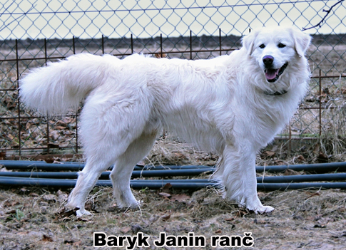 Baryk Janin ranč